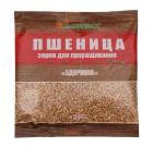 Здоровка. Пшеница (зерна для проращивания), 300 гр